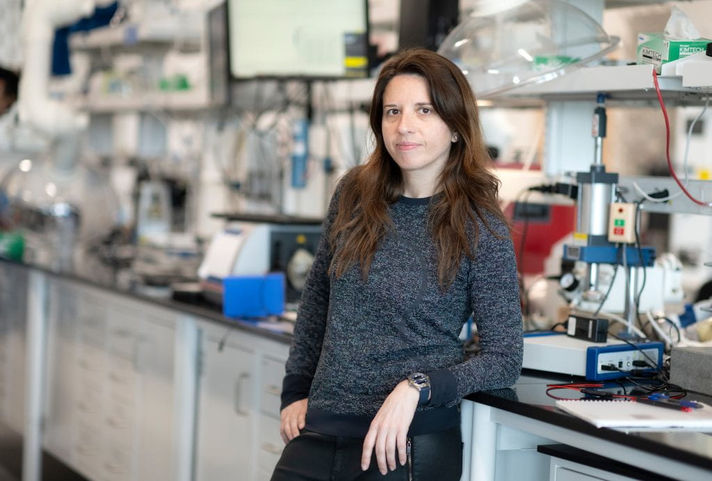 Irina Zhenyuk, codirectora del Instituto de Ingeniería+Sostenibilidad, en su laboratorio.