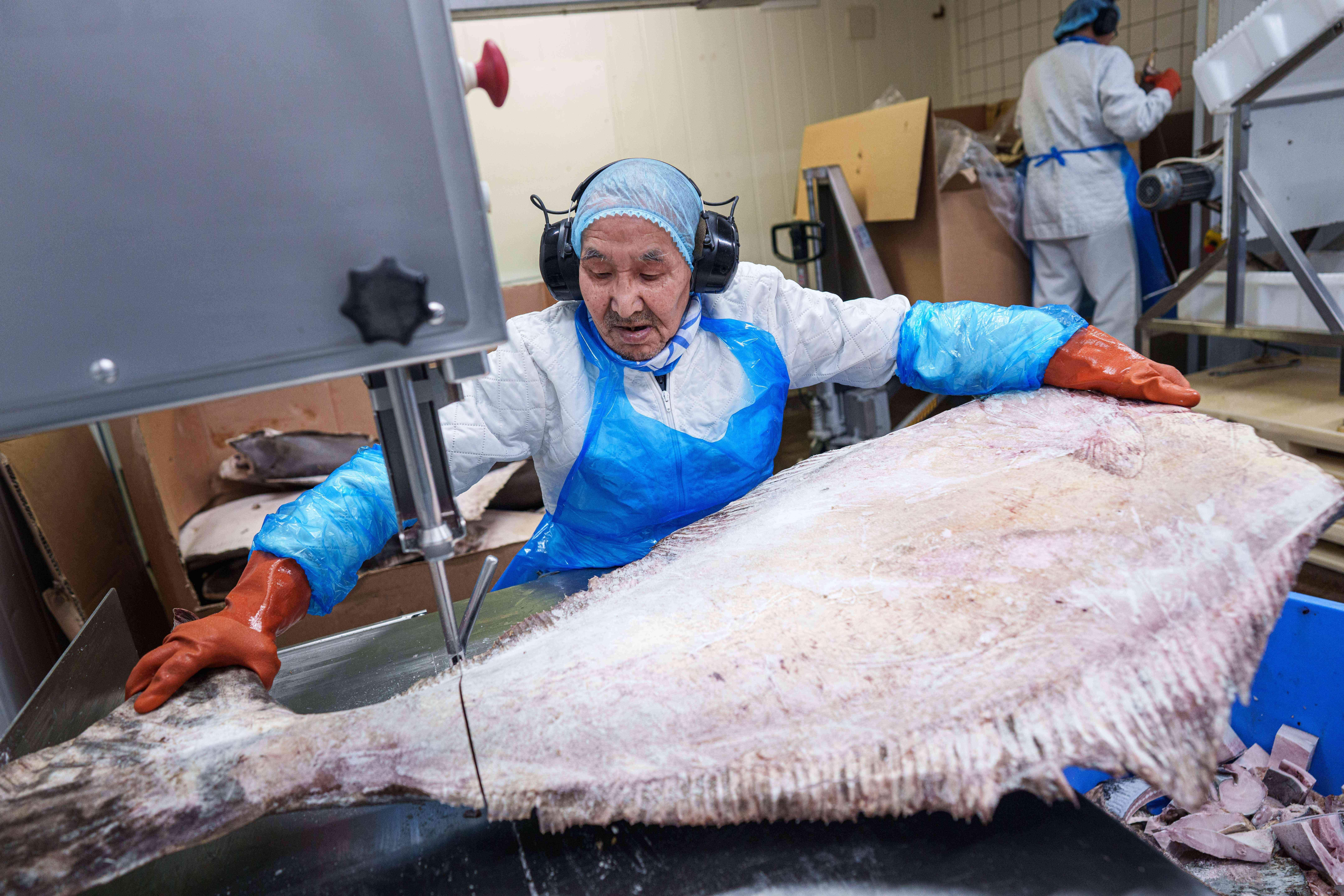 Un trabajador de la Royal Greenland Seafood Company corta un fletán...