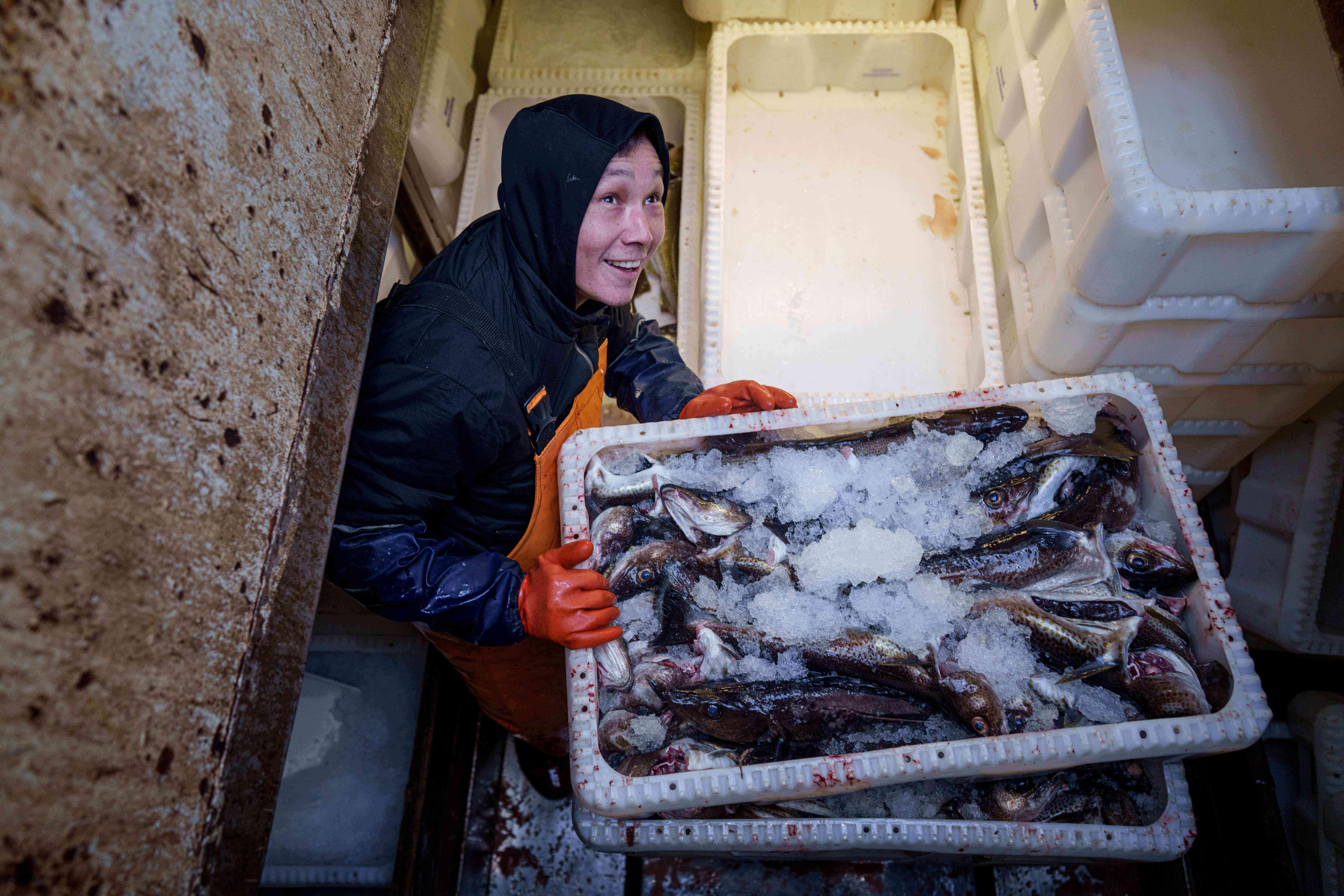 Un pescador descargando cajas de pescado desde un barco...