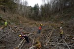 Estudiantes voluntarios de secundaria y universitarios navegan por los alisos mientras plantan plántulas de sauce a lo largo de un afluente de Shotpouch Creek en el condado de Lincoln el 28 de febrero de 2026. Los estudiantes son parte del Consejo Juvenil de la Cuenca del Río Marys y participan en un proyecto sabático de 15 años.