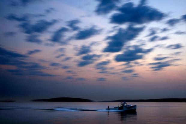 ARCHIVO - Un barco pesquero de langosta se dirige al mar bajo el cielo de la mañana en Casco Bay, South Portland, Maine, el 14 de agosto de 2024. (Foto AP/Robert F. Bucati, Archivo)