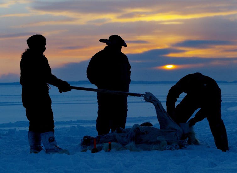 Tres hombres están de pie sobre un bloque de hielo desollando el cadáver de un animal. Detrás de ellos está el sol poniente.
