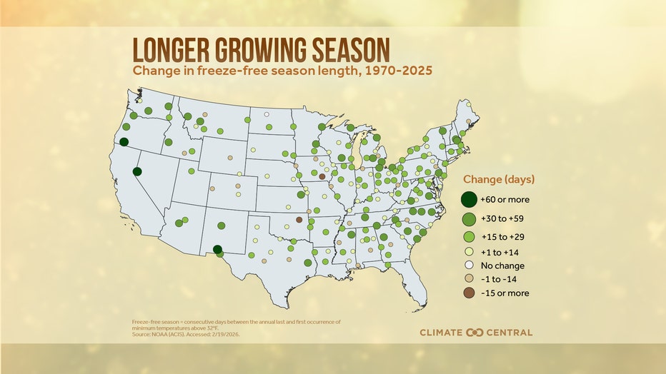 Gráfico que muestra temporadas de crecimiento más largas según el cambio climático.