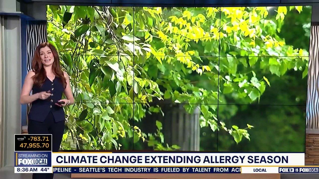 Así es como el cambio climático está extendiendo la temporada de alergias en WA
