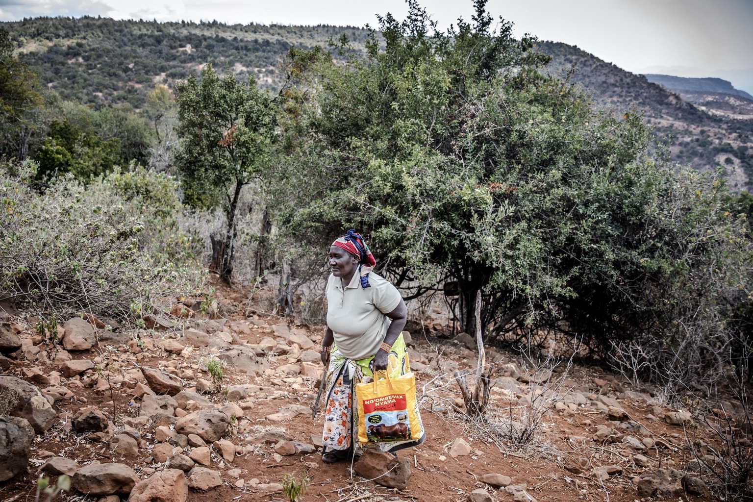 Un herbolario camina por el sitio de un proyecto de restauración del bosque Mukugodo de la Organización de las Naciones Unidas para la Alimentación y la Agricultura con el gobierno de Kenia. Foto ©FAO/Luis Tato.