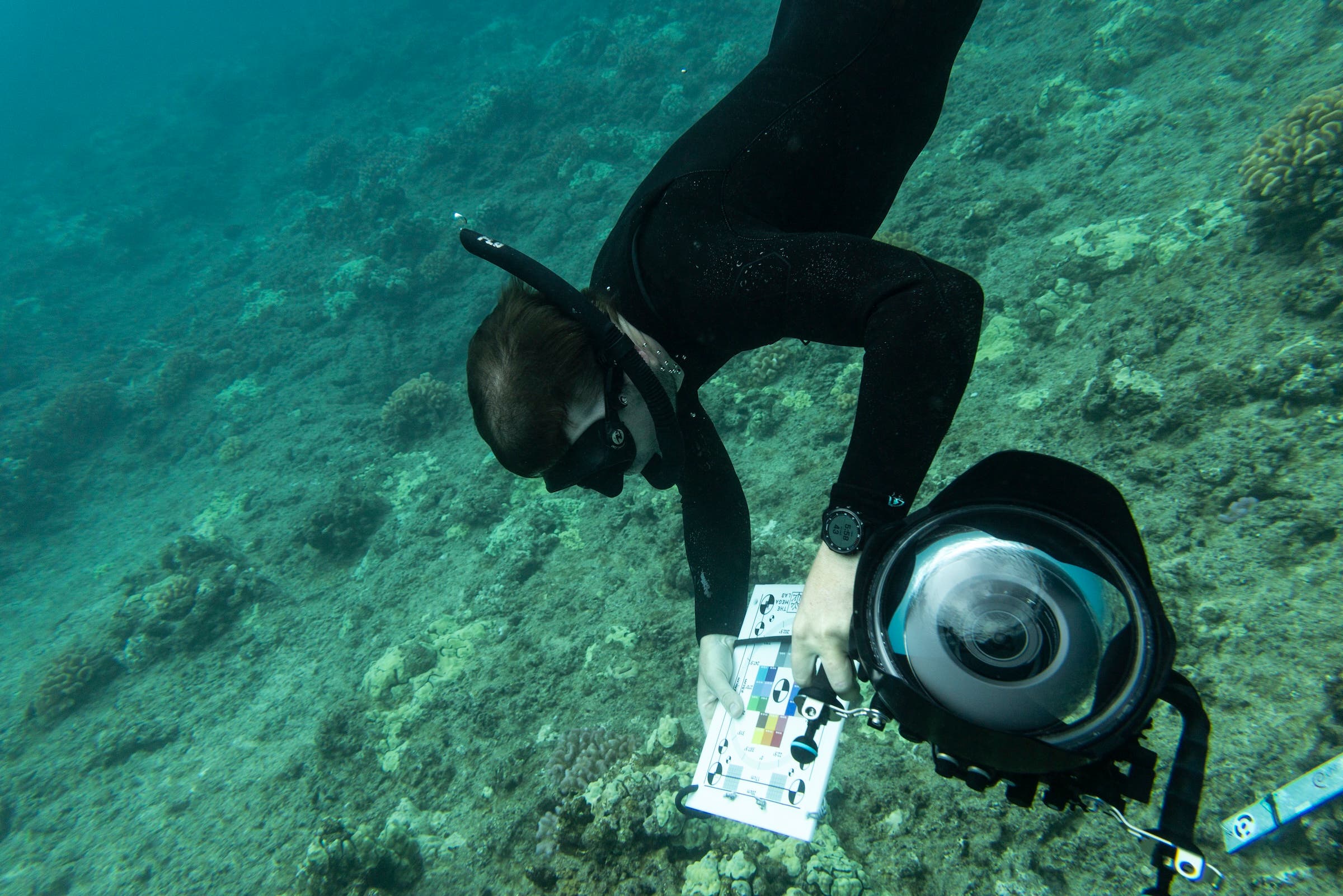 John Barnes PhD para la semana del mapeo del arrecife de la bahía de Honolua
