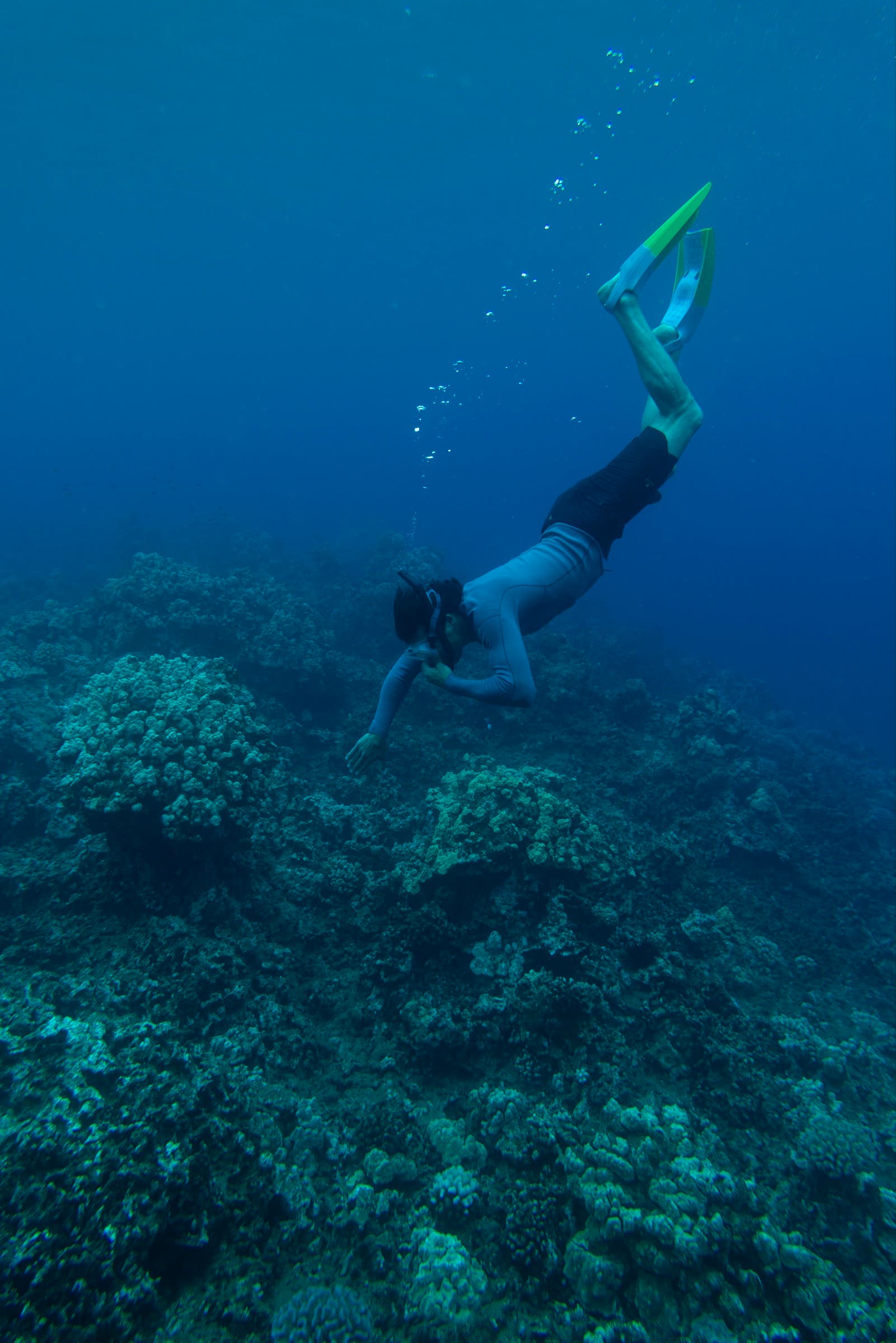 Buceo en el acantilado Kapano en la bahía de Honolulu